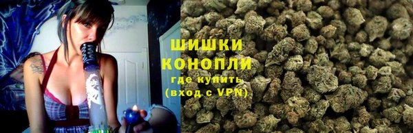 прущие грибы Козельск