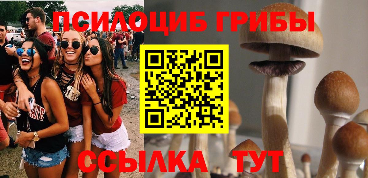 Псилоцибиновые грибы Psilocybine cubensis  Псилоцибиновые грибы Psilocybine cubensis  Вход с VPN  Одинцово 