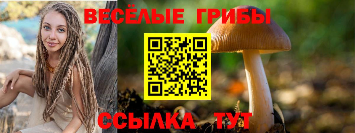 Псилоцибиновые грибы мицелий Одинцово
