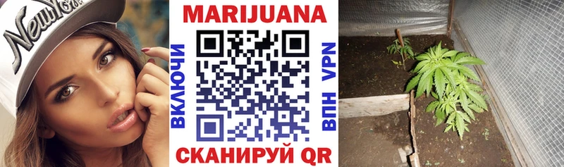 где купить наркотик  Одинцово  Шишки марихуана SATIVA & INDICA 